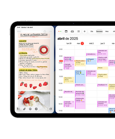 En un iPad en posición horizontal aparece la app Diario en el lado izquierdo de la pantalla