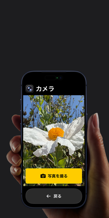 iPhone 17 Proの画面に表示されている簡略化されたカメラアプリのインターフェイス。フレームに入った白い花の下に「写真を撮る」ボタンと「戻る」ボタンが表示されている