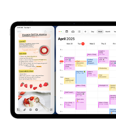 Fekvő tájolású iPad, a képernyője bal oldalán a Napló app jelenik meg